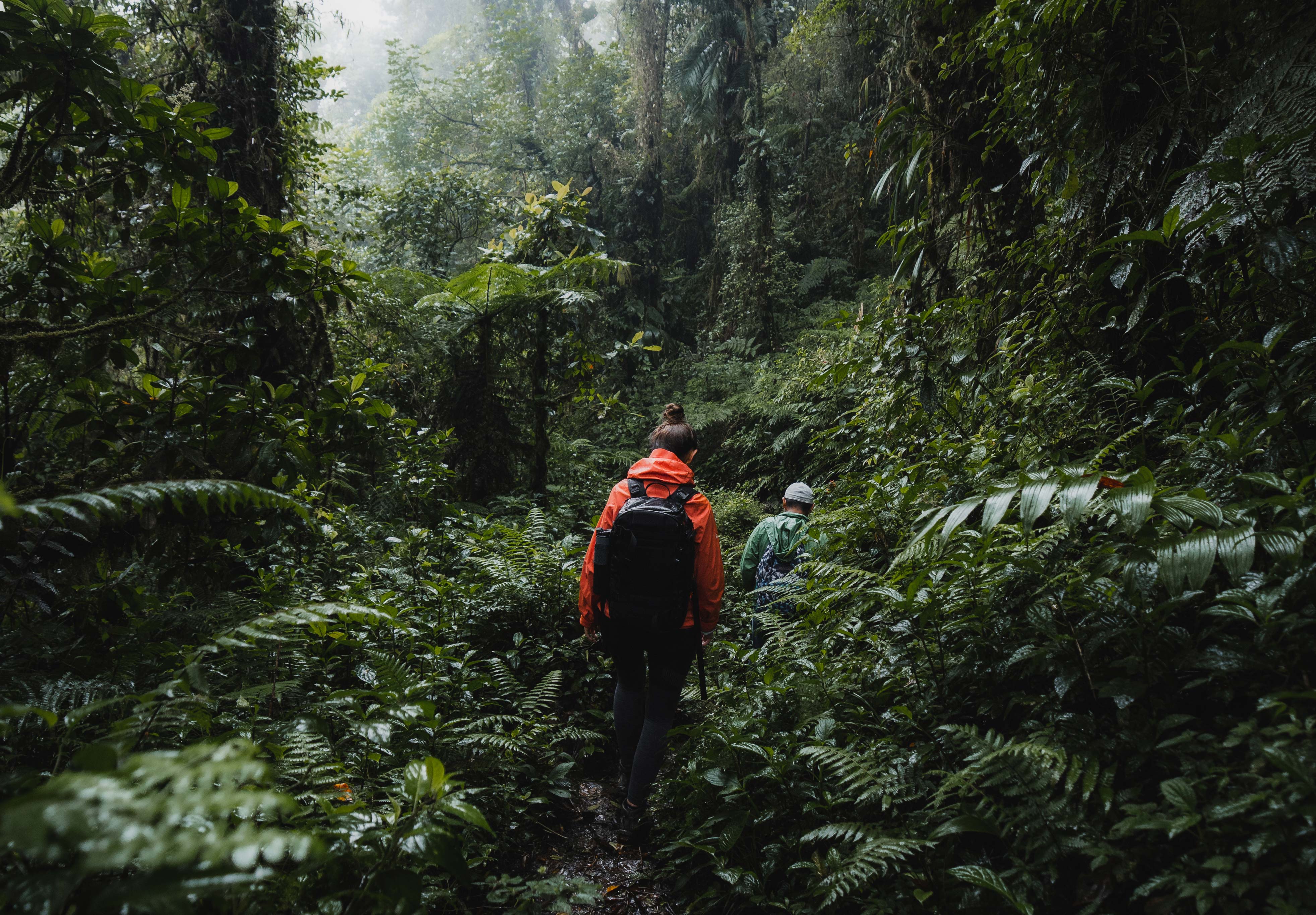 Ultralight backpacking checklist