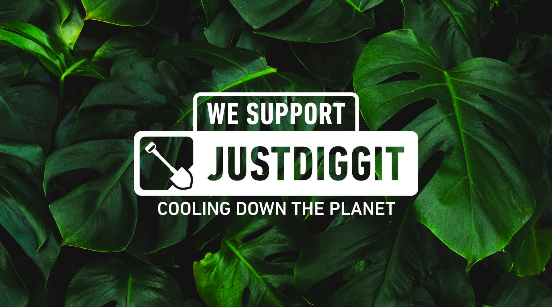 Cortazu x Justdiggit | Regreening Africa, Cooling Down the Planet 🌴